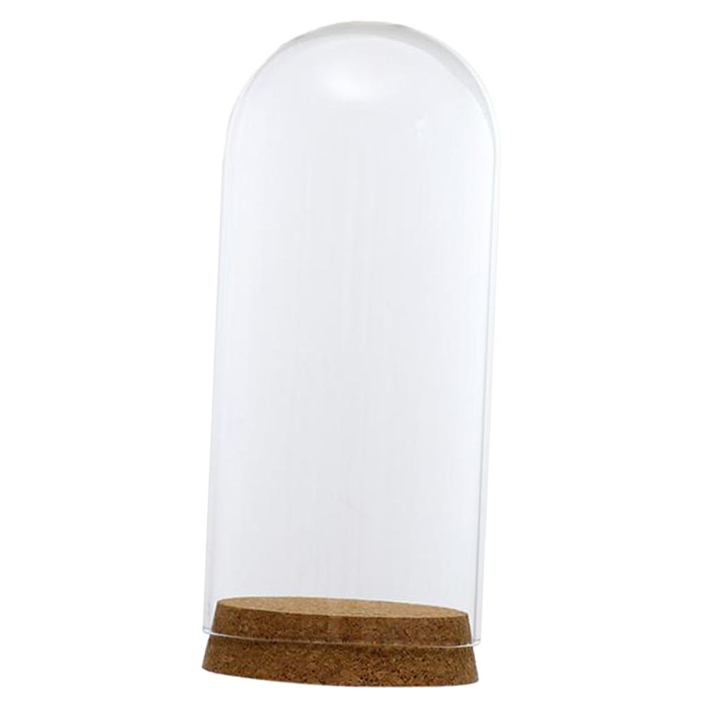 2xGlass Cover Landscape Terrarium Container Lid Vase Bottle 8x18cm