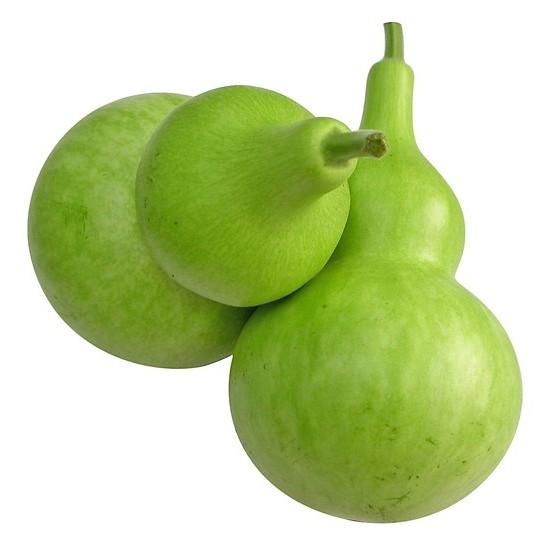 Hạt giồng bầu hồ lô - bầu ngắn ngày gói 10hạtq