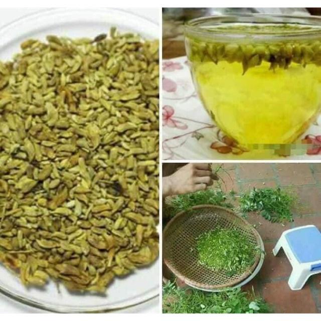 1 bịch hoa hòe khô sạch,hàng tuyển loại 1- nhà tự làm
