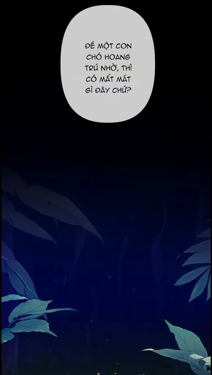 Nữ Chính Không Muốn Yêu chapter 66.2 - Trang 3