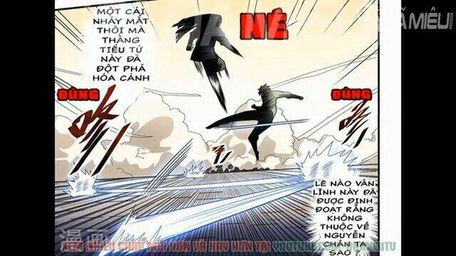 đào hoa bảo điển chapter 207 5