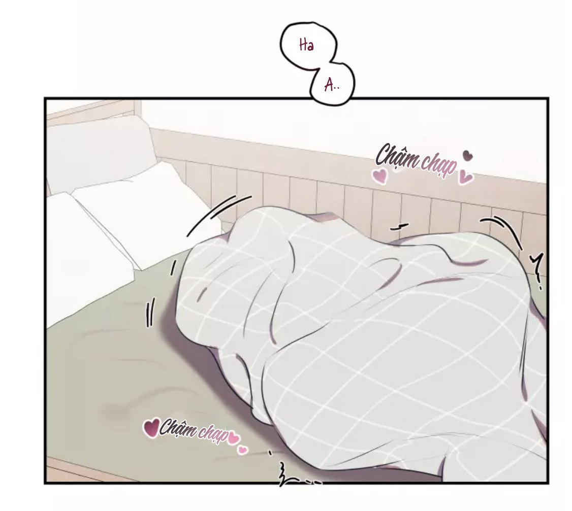 hợp đồng tình yêu chapter 47 50