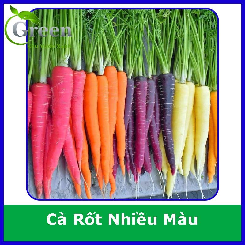 Hạt Giống Cà Rốt Nhiều Màu Mix F1