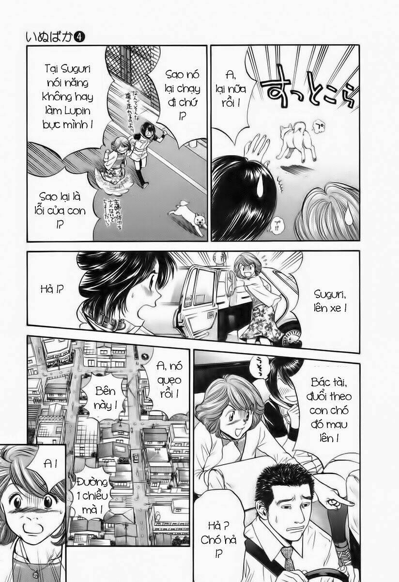 cô nàng yêu chó chapter 40 11