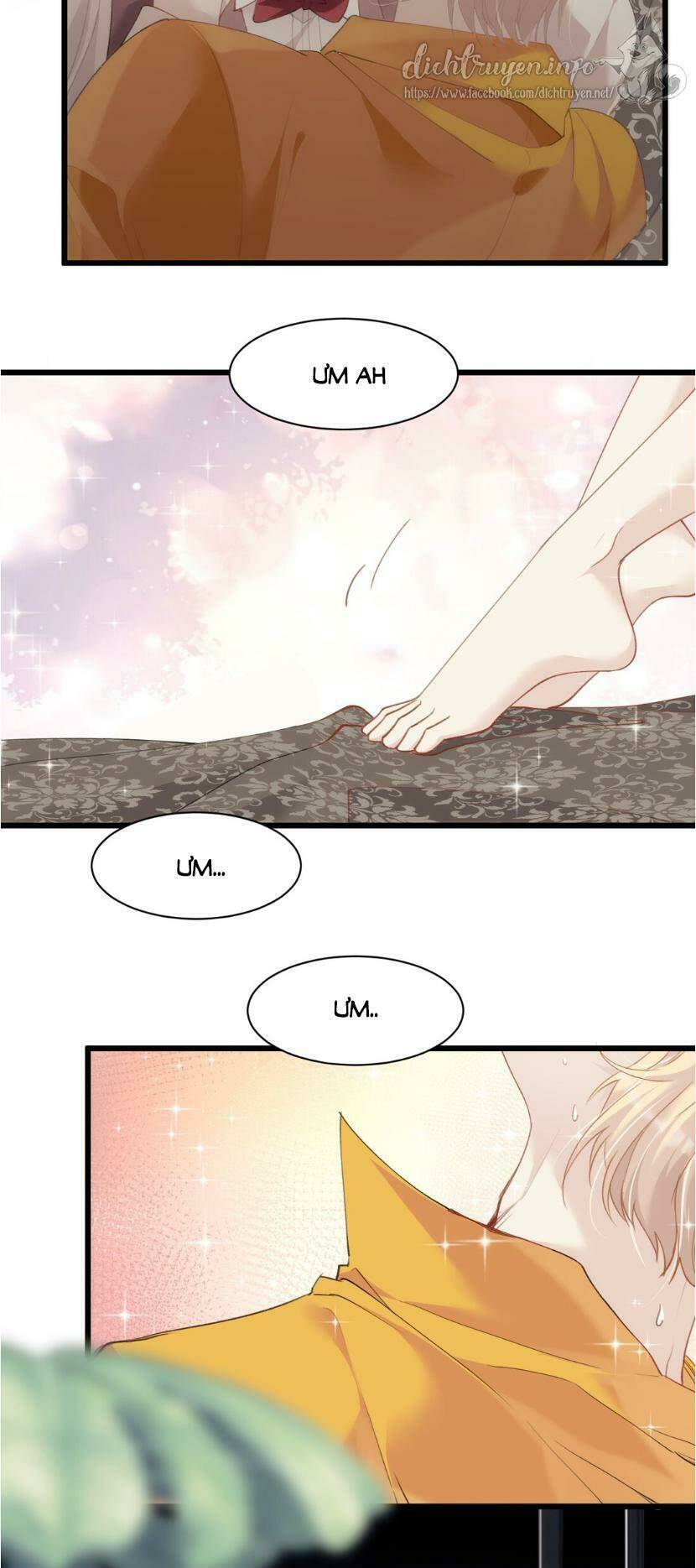 dù là sói cô độc cũng có tình yêu của sẻ nhỏ chapter 20 22