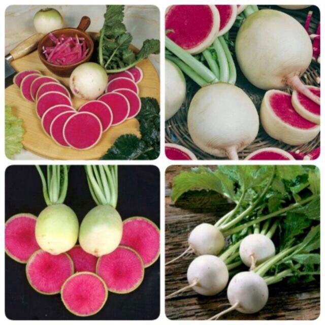 Hạt giống Củ Cải Dưa Hấu ngon bao đẹp
