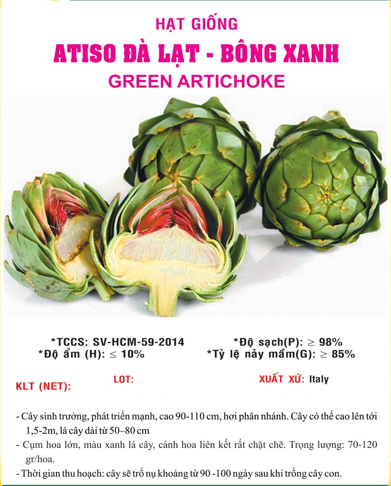 Hạt giống Atiso xanh VTS12