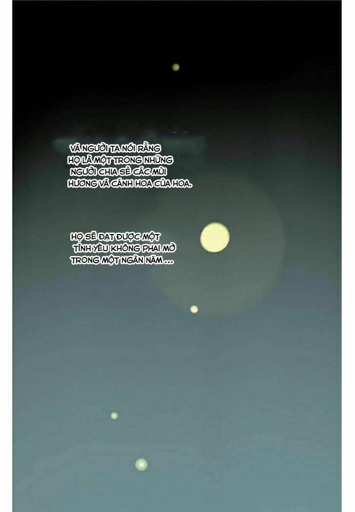 một ngàn cánh hoa chapter 1 8
