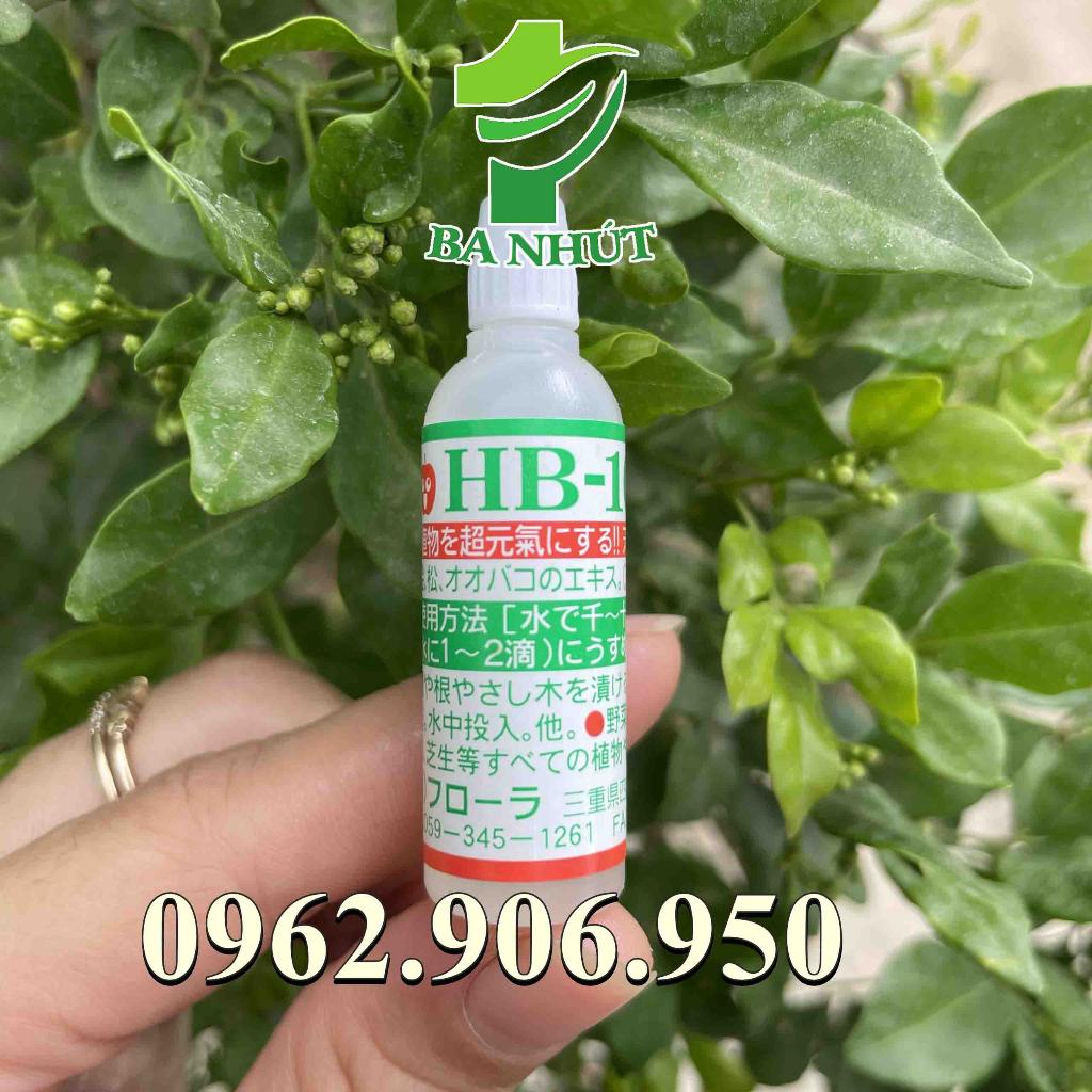 HB 101 6ml Nhật Bản Siêu Kích Rễ, Phục Hồi Cây Suy Yếu, Tăng Cường Ra Rễ Và Thúc Đẩy Hồi Phục Cây Suy Yếu