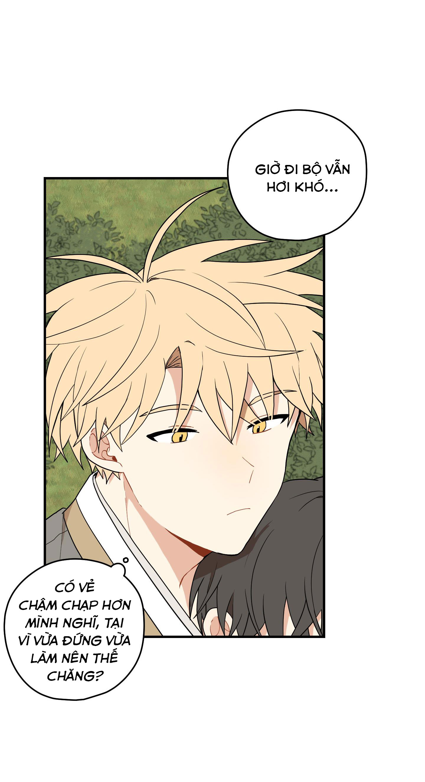 đường hoa liên kiều rơi chapter 36 10