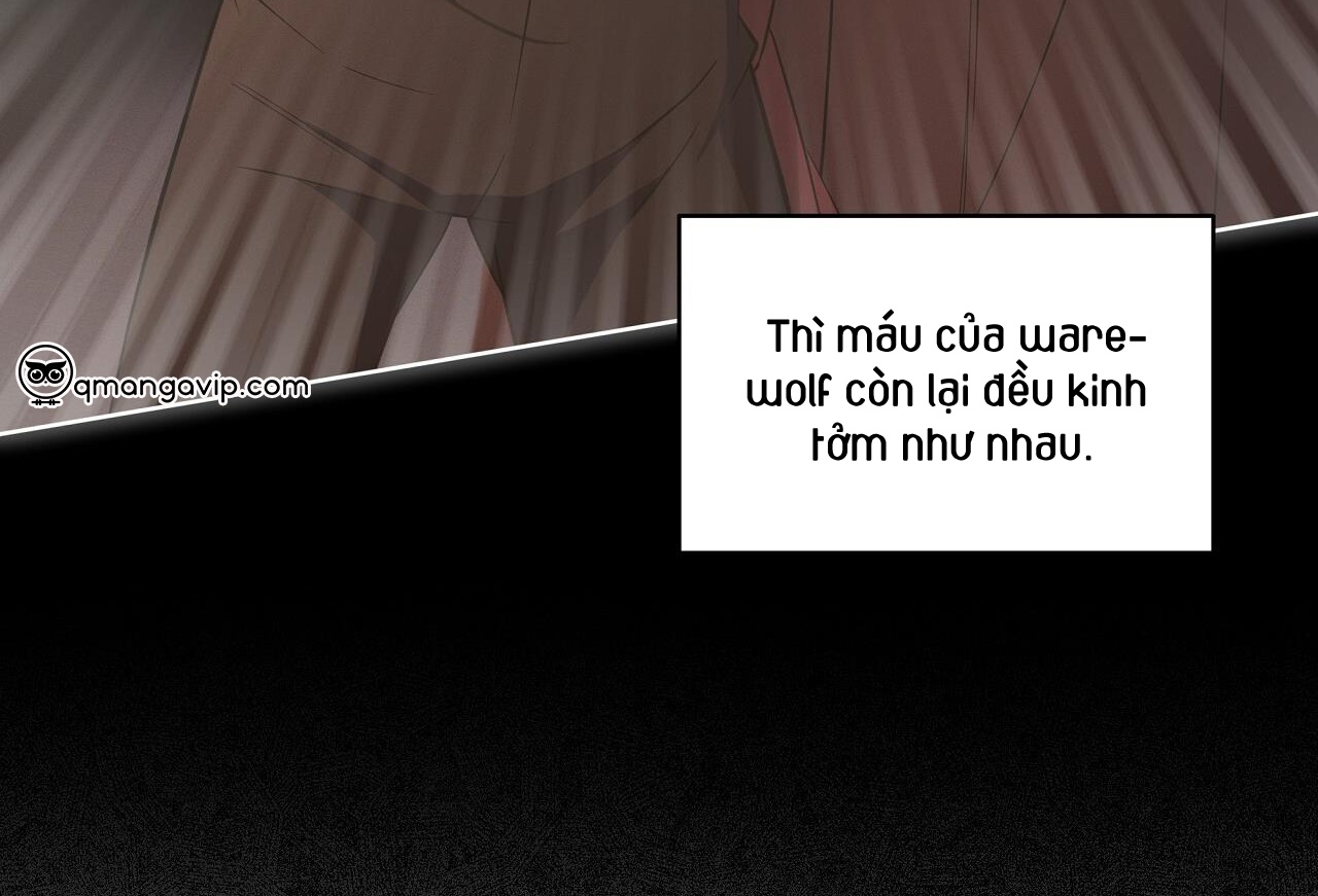 luân đôn trong màn đêm chapter 31 78