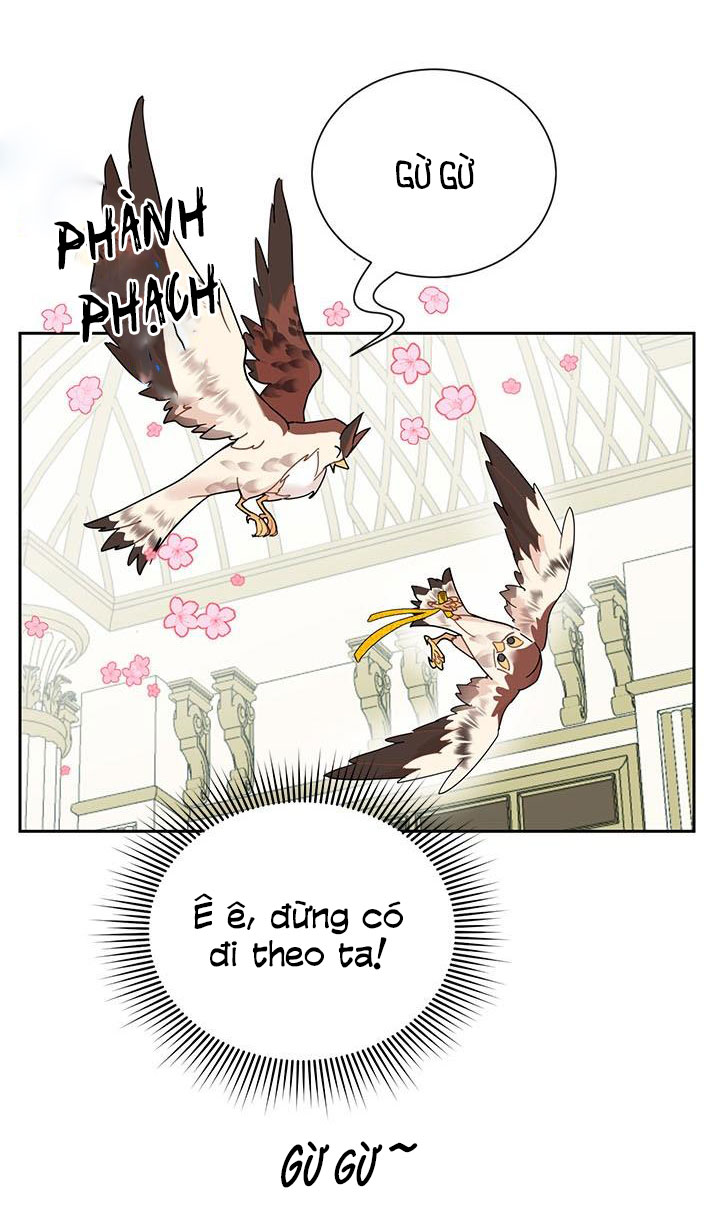 công chúa của loài chim chapter 25 7