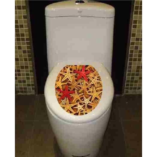 Combo 2 decal dán toilet hoạ tiết sao biển