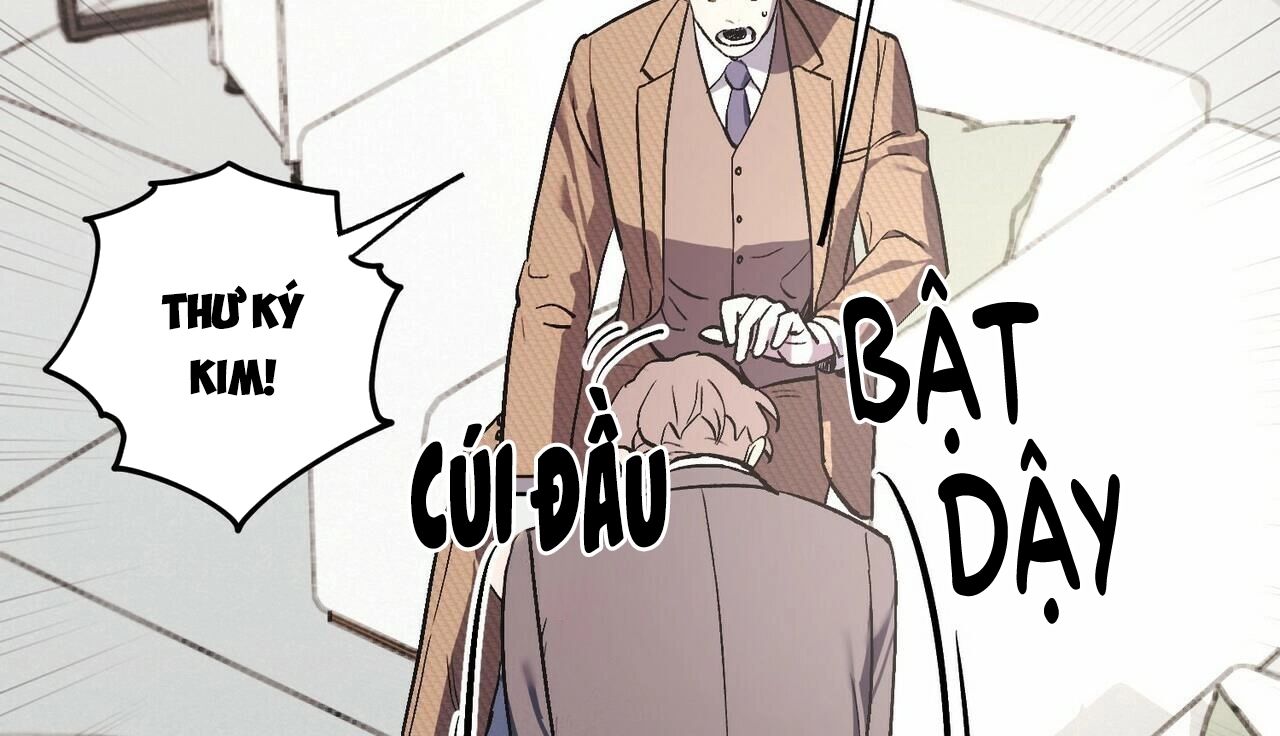 chàng dâu nhà họ kang chapter 26 127