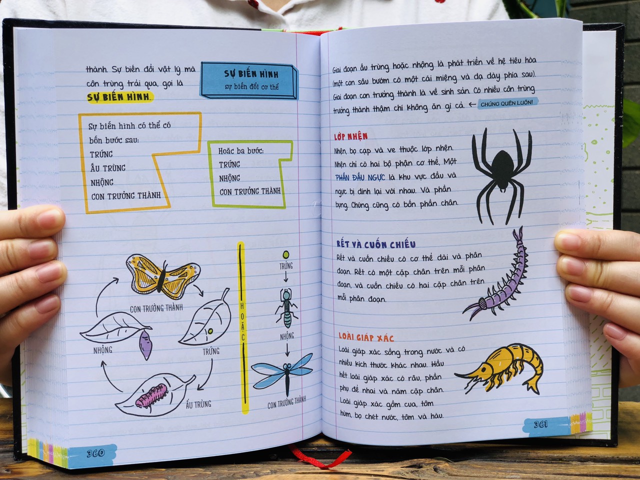 Sách - Sổ tay Khoa học - Á Châu Books ( Tiếng Việt, Lớp 4 - lớp 9 )