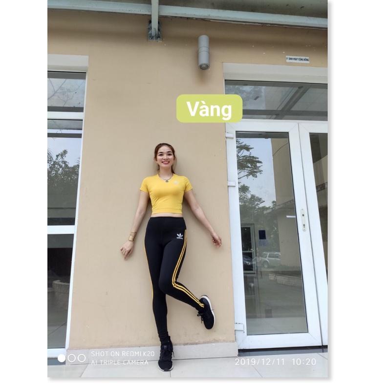Bộ đồ tập Thể Thao nữ Áo Croptop quần dài tập Yoga Tập Gym Aerobic Thun Lạnh cao cấp