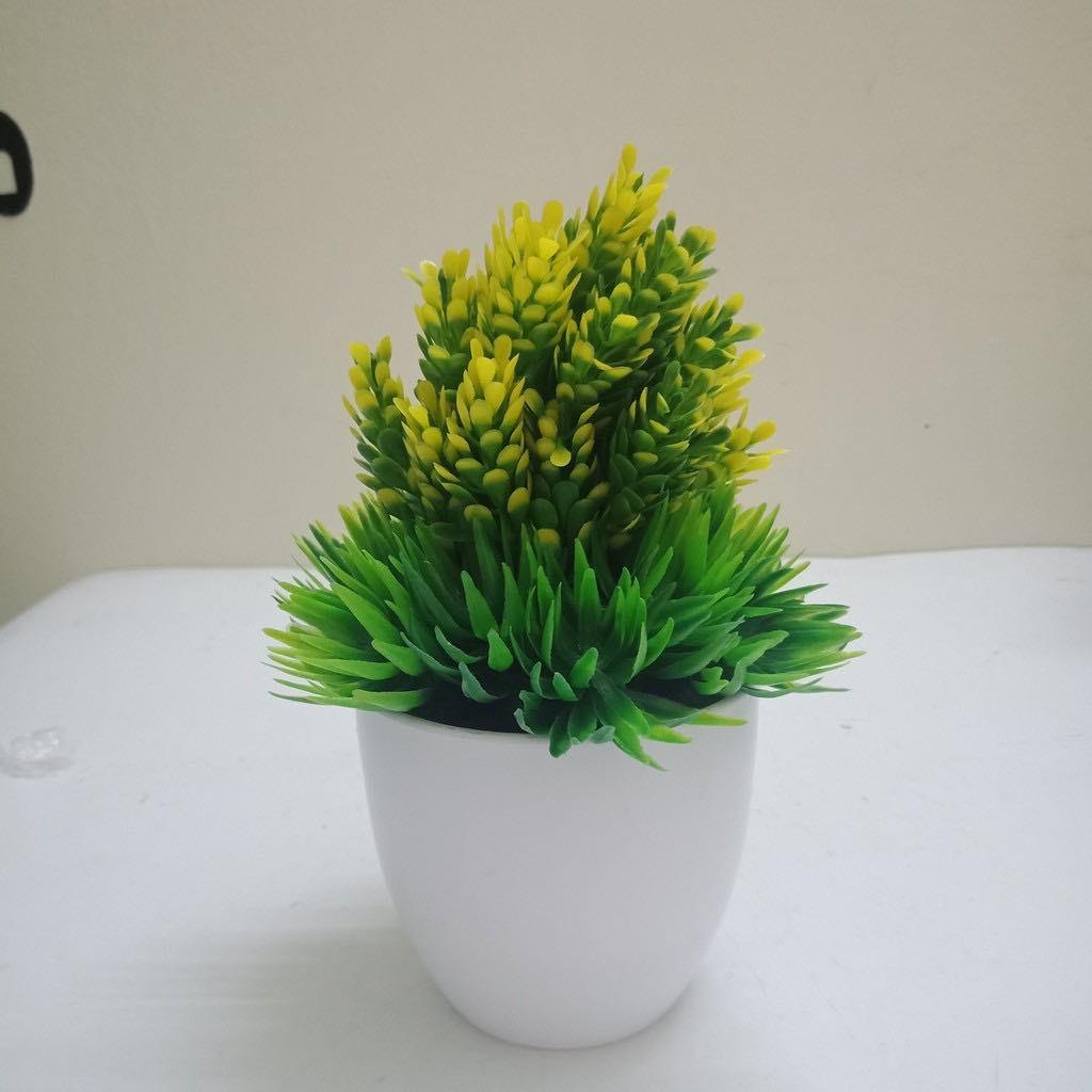 Chậu hoa giả để bàn trang trí, để kệ tủ độc đáo 20x12cm kèm chậu nhựa
