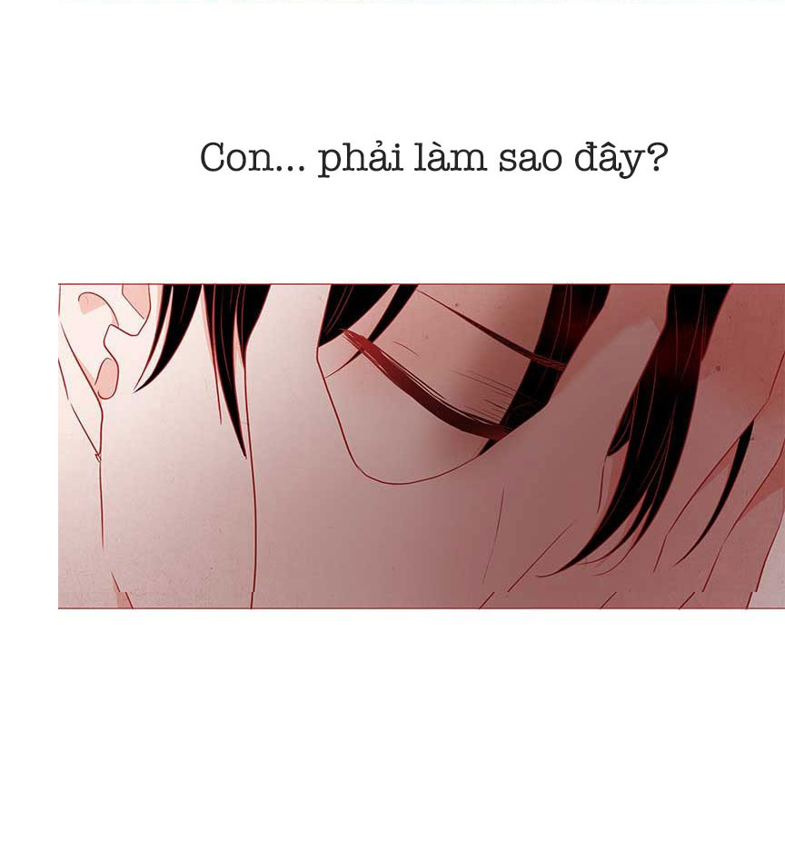 liệu rắn có ăn hoa chapter 1 111