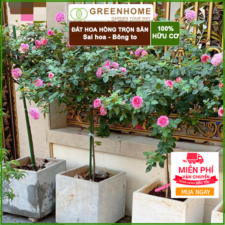 Đất trồng hoa hồng Greenhome- Giúp cây giữ ẩm, các chất dinh dưỡng, hoa hồng phát triển khỏe mạnh-5kg