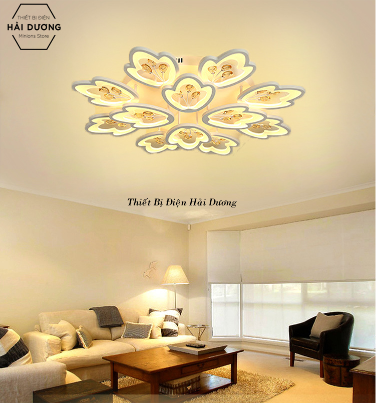 Đèn LED ốp trần hình hoa 12 cánh NT032 - 3 Chế Độ Ánh Sáng - Tăng Giảm Ánh Sáng - Điều Khiển Từ Xa - Kết Nối Điện Thoại - Có Video