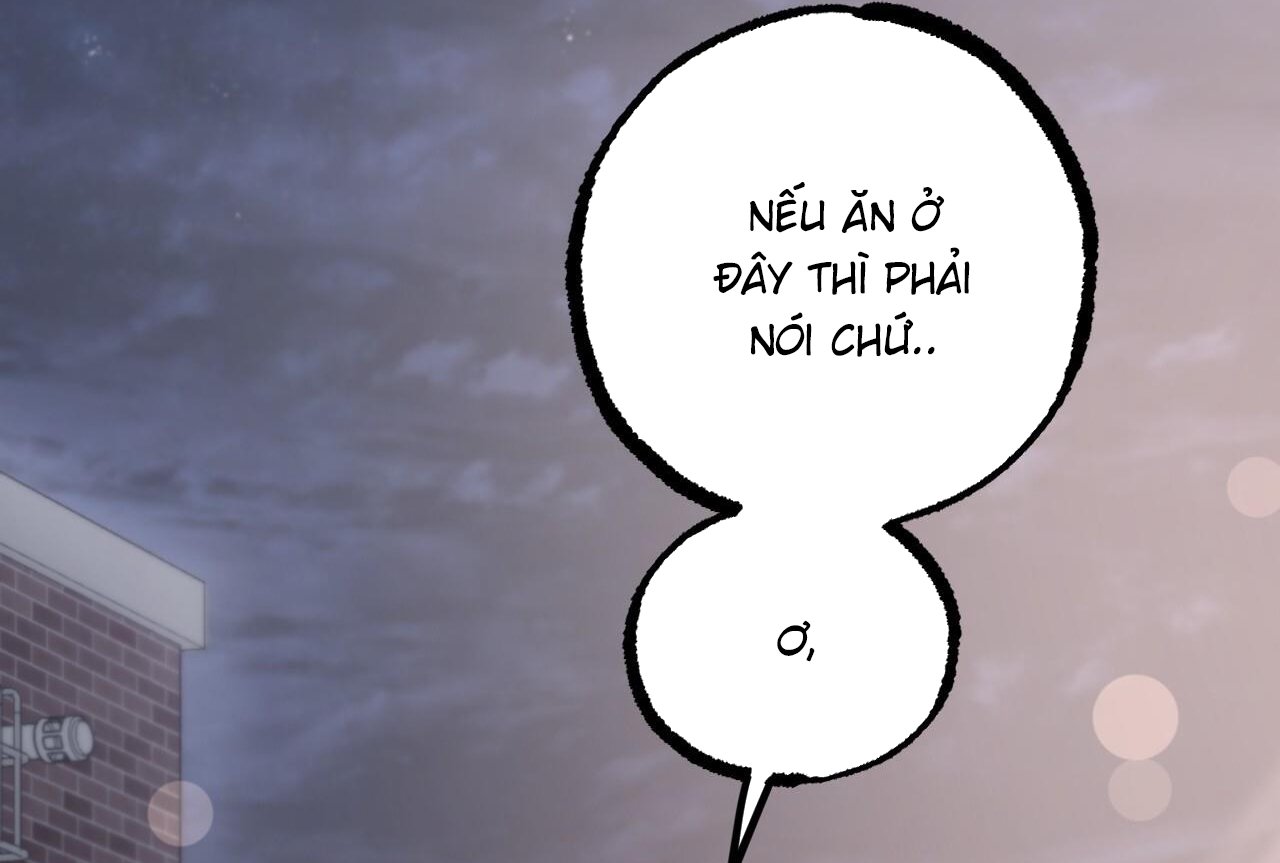 những chú thỏ của hapypy chapter 58 27