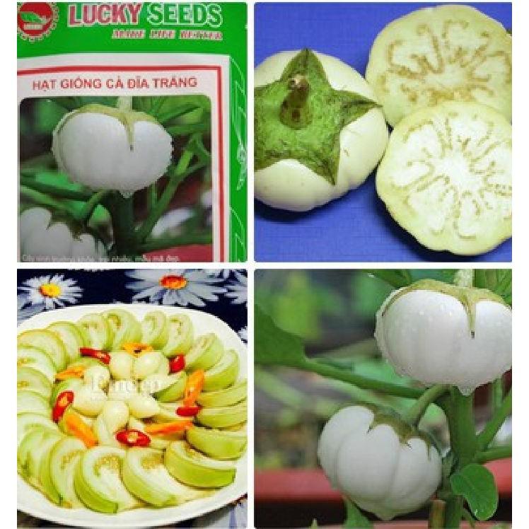 Hạt giống cà bát da ếch 2gr/gói