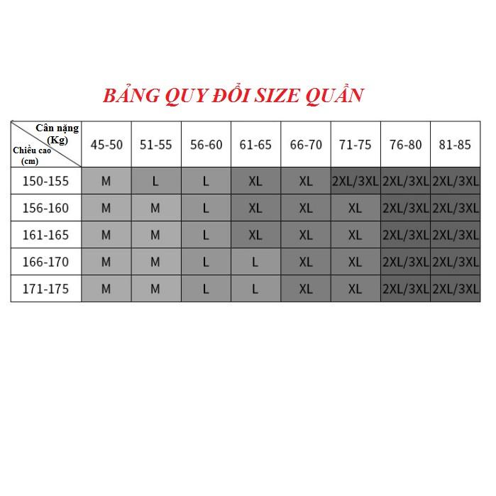Quần lót Nữ_Quần lót su đúc thun lạnh phối ren Siêu Gợi Cảm mịn mát như lụa MẶC NHƯ KHÔNG MẶC