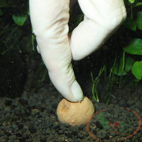Phân nhét JBL ProFlora 7 + 13 Kugeln Balls bổ sung dinh dưỡng bể trồng cây thủy sinh
