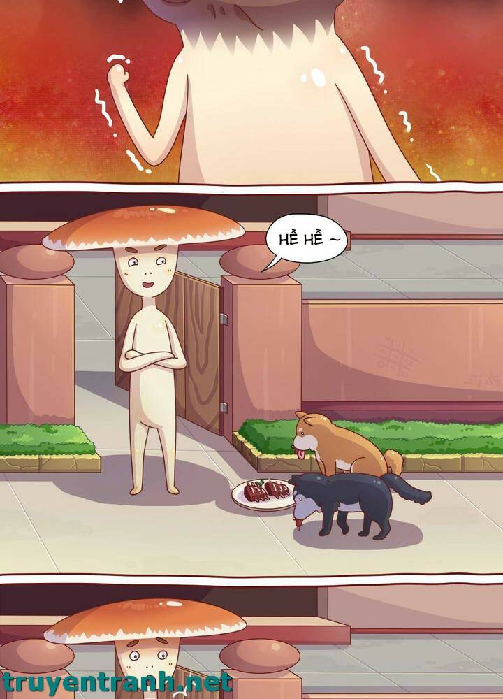 cây nấm kì khả chapter 6 5