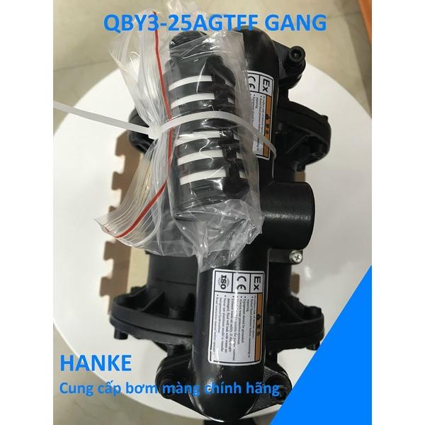 Máy bơm màng khí nén thân gang, GODO QBY3-25AGTFF