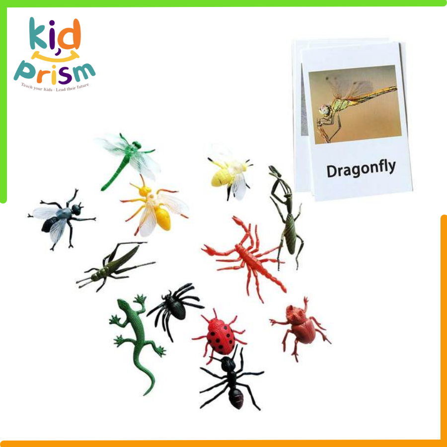 Bộ đồ chơi mô hình côn trùng chất liệu nhựa an toàn giúp bé nhận diện các loài côn trùng từ sớm (Giáo cụ Montessori)