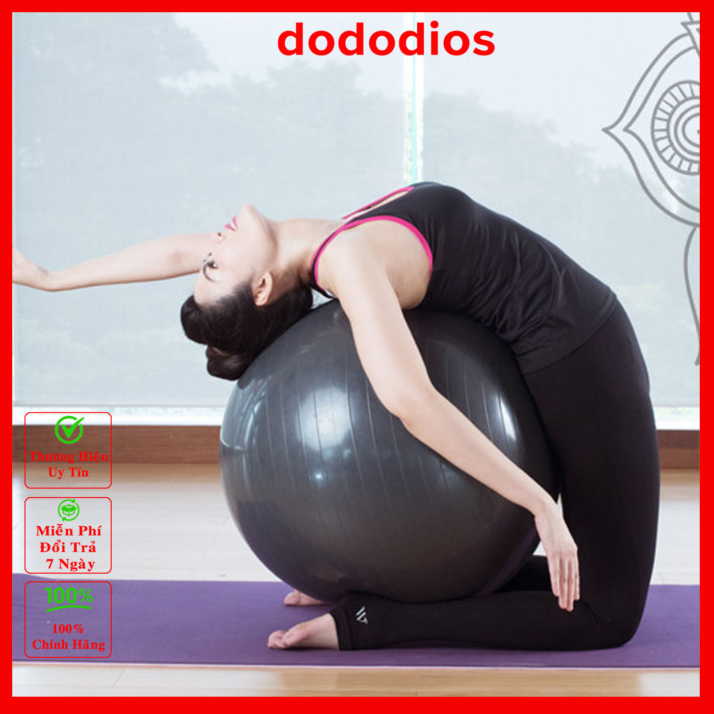 Bóng Tập Yoga Cỡ Đại 65cm, 75cm - Bóng Tròn Yoga Cao Cấp - Hàng Chính Hãng dododios