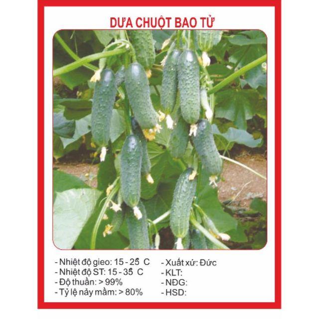 141A Hạt giống Dưa Bao Tử 10 Hạt
