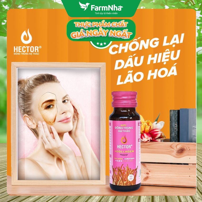 Nước Đông Trùng Hạ Thảo Hector Collagen (Hộp 10 Chai) - Hỗ trợ tăng đề kháng, giúp dưỡng ẩm, phục hồi và làm đẹp da