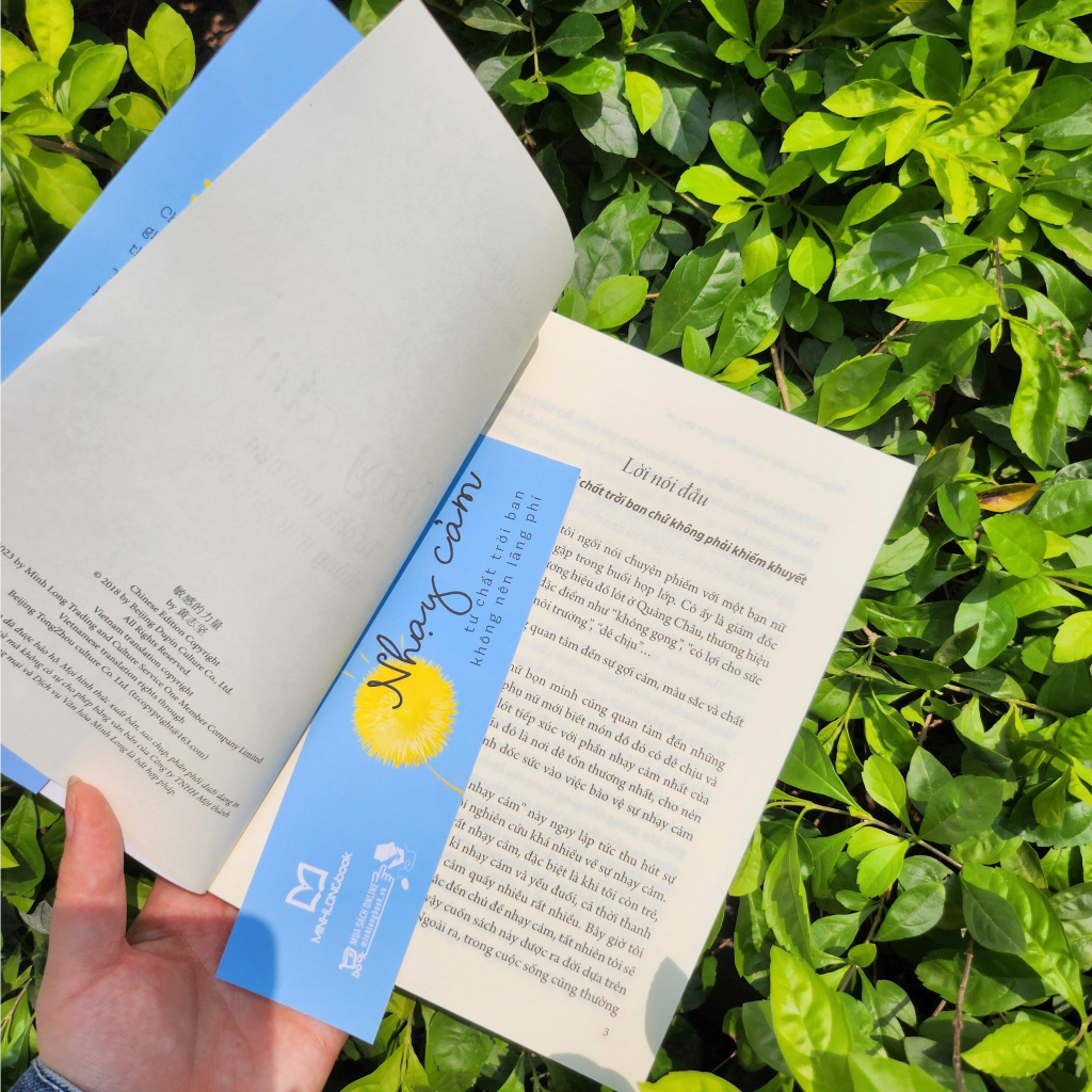 Sách Nhạy Cảm - Tư Chất Trời Ban Không Nên Lãng Phí