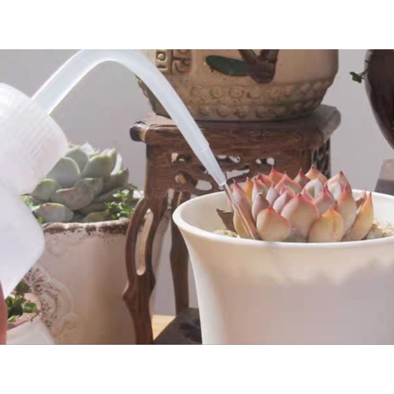 Bình Xịt Nước Tưới Cây 250Ml Chuyên Dùng Tưới Sen Đá