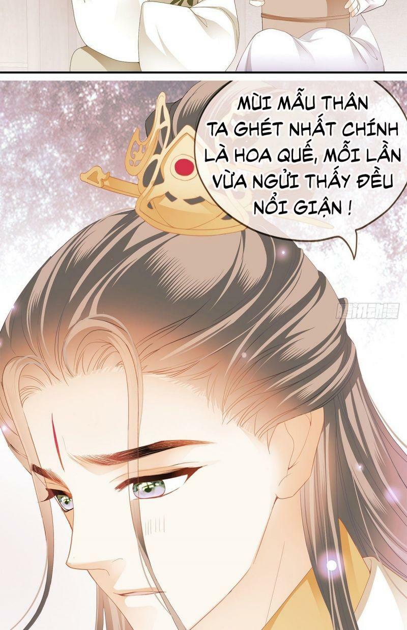 bổn vương muốn nàng chapter 17 23