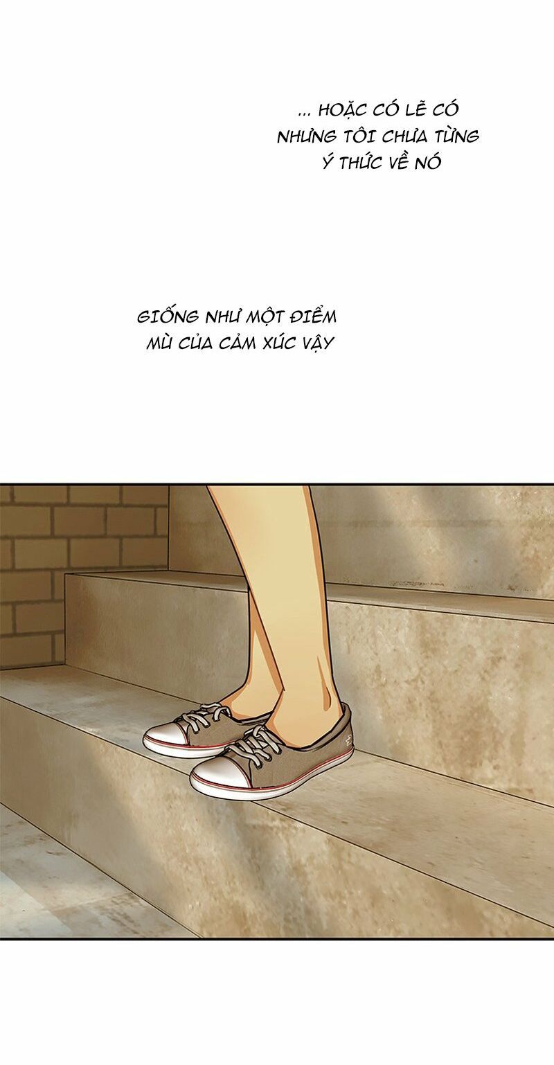 nửa đêm ở poppy land chapter 48 61