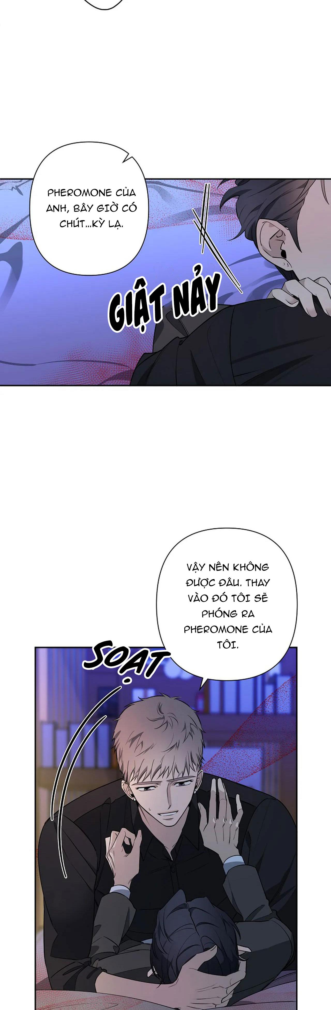 đêm dịu dàng chapter 38 8