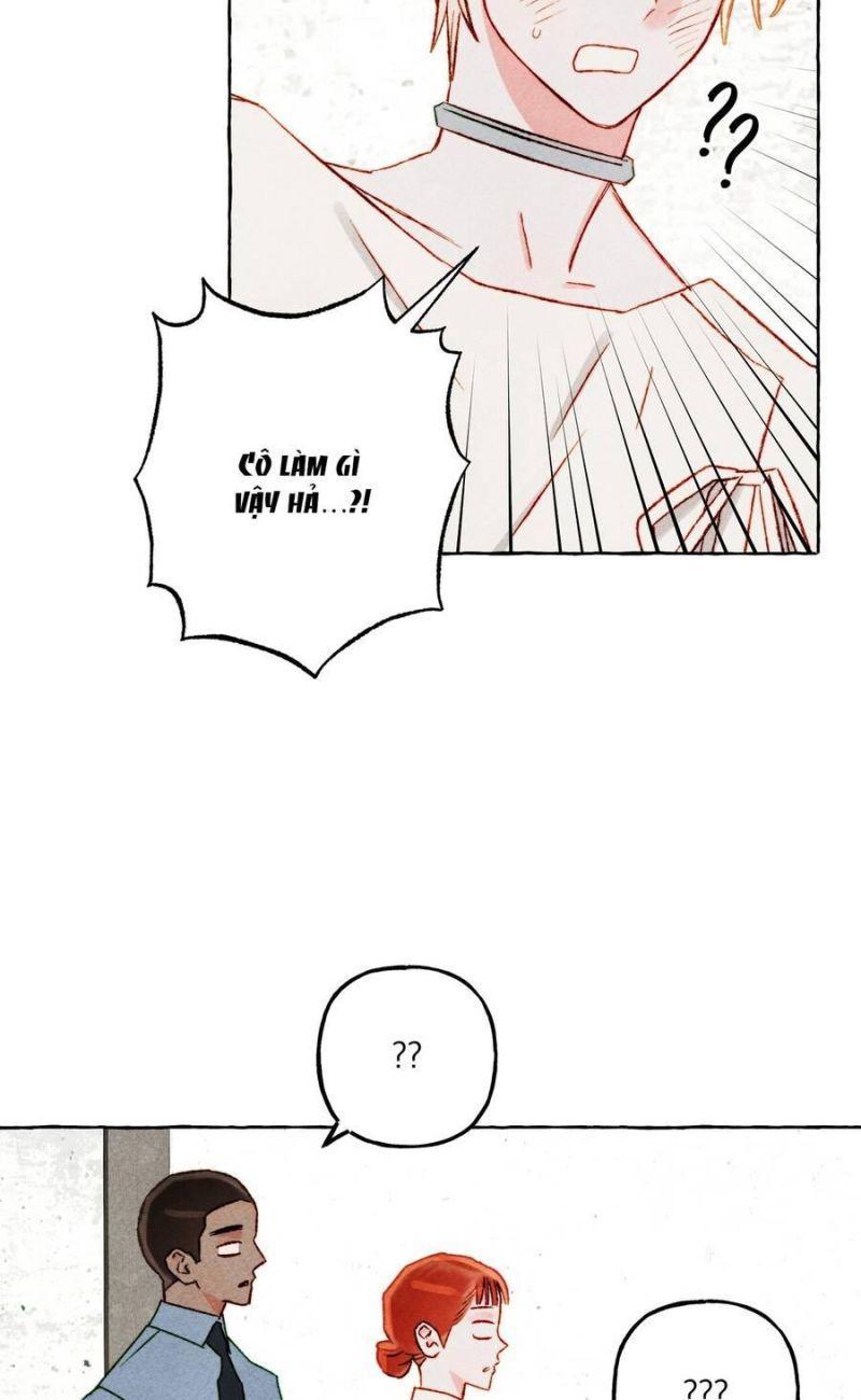 nuôi dưỡng một hắc long chapter 66.1 24