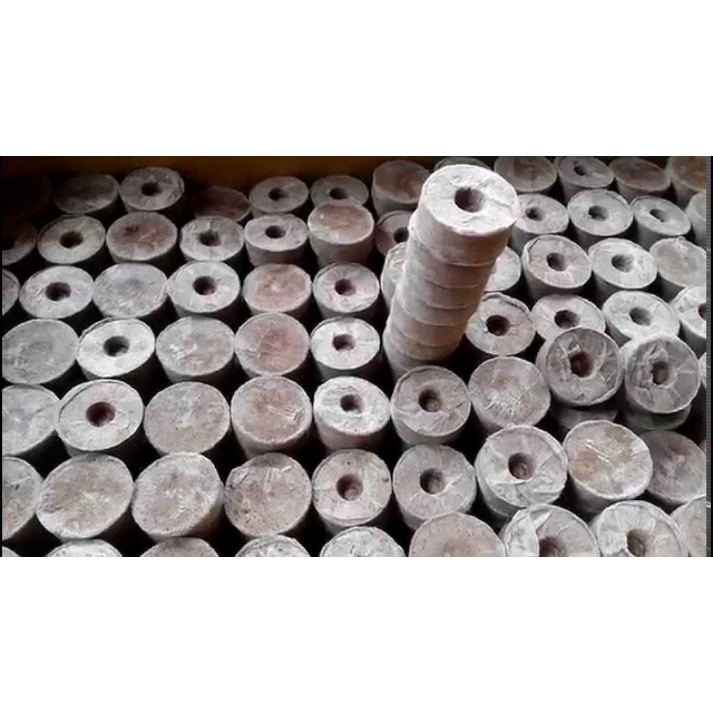 Bộ 50 viên nén ươm hạt - viên nén xơ dừa kích mầm