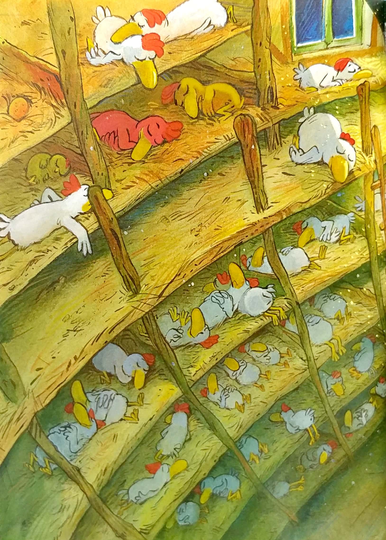 Sách: Chuyện xóm gà - Chim dodo bé bỏng ở xóm gà