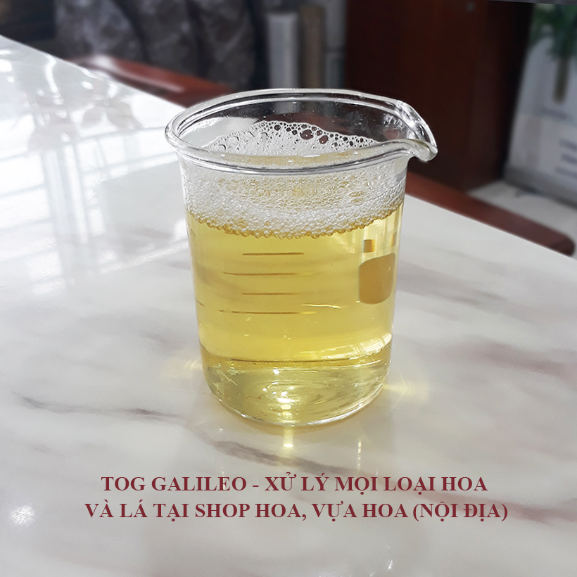 Nước Dưỡng Hoa Lâu Tàn Tại Vựa Bán Hoa Tươi Nhập Khẩu Israel TOG Galileo Giúp Kiềm Hoa Không Nở Tại Vựa Và Không Thay Nước Trong Xô 5 Ngày Liên Tục. Chai 1 lít và chai 100ml