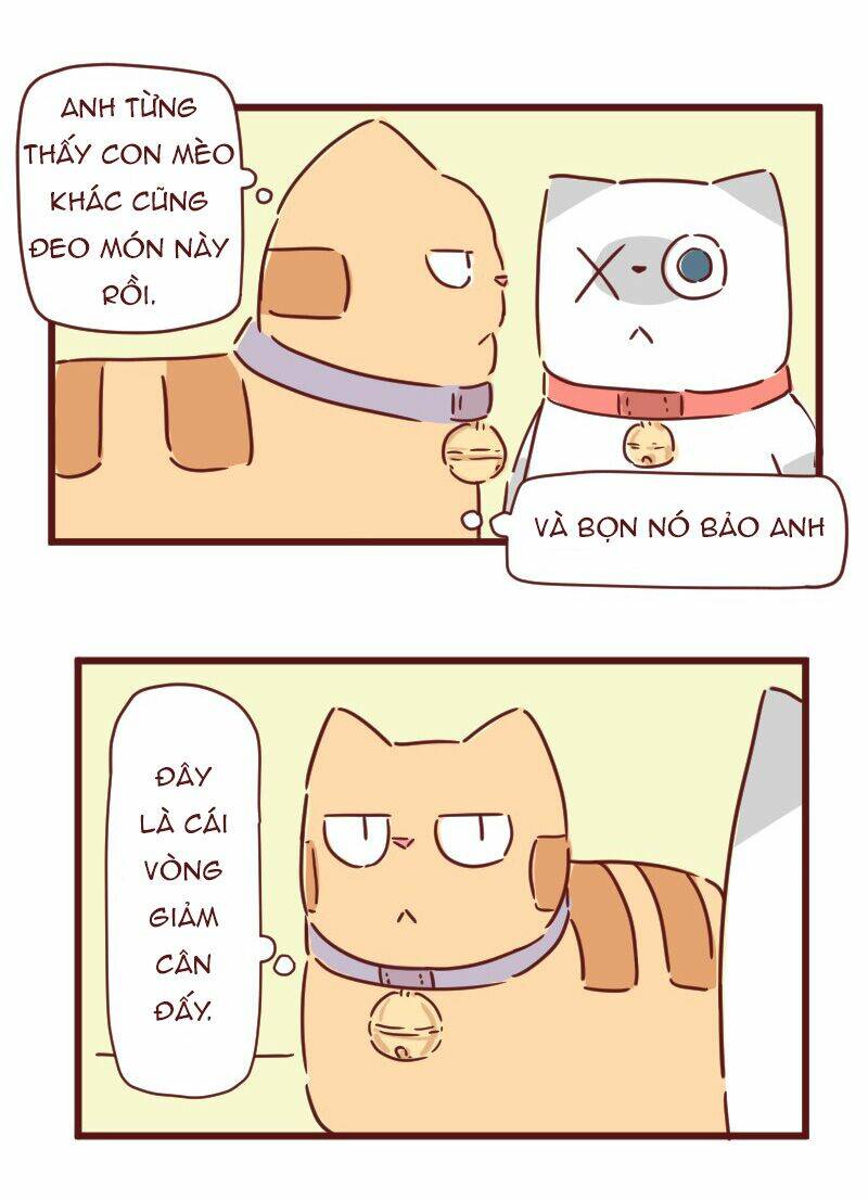 saphie: chú mèo một mắt chapter 28 15