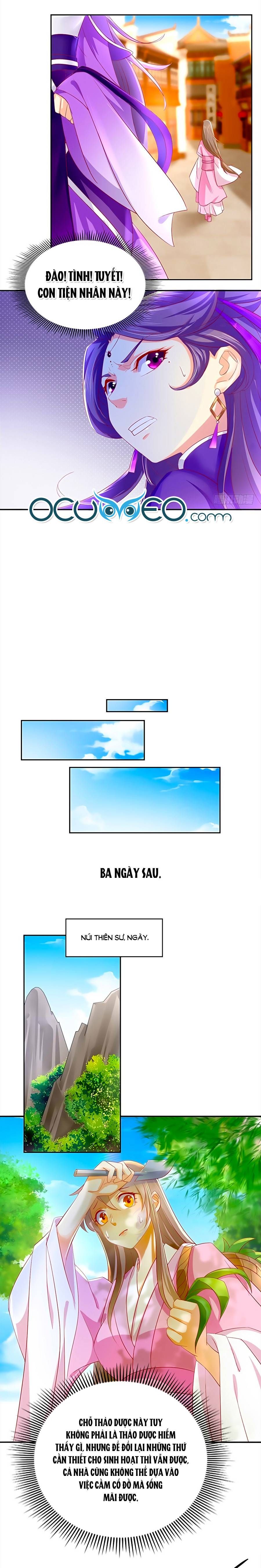 Khuynh Thành Cuồng Phi Của Tà Vương chapter 6 - Trang 4