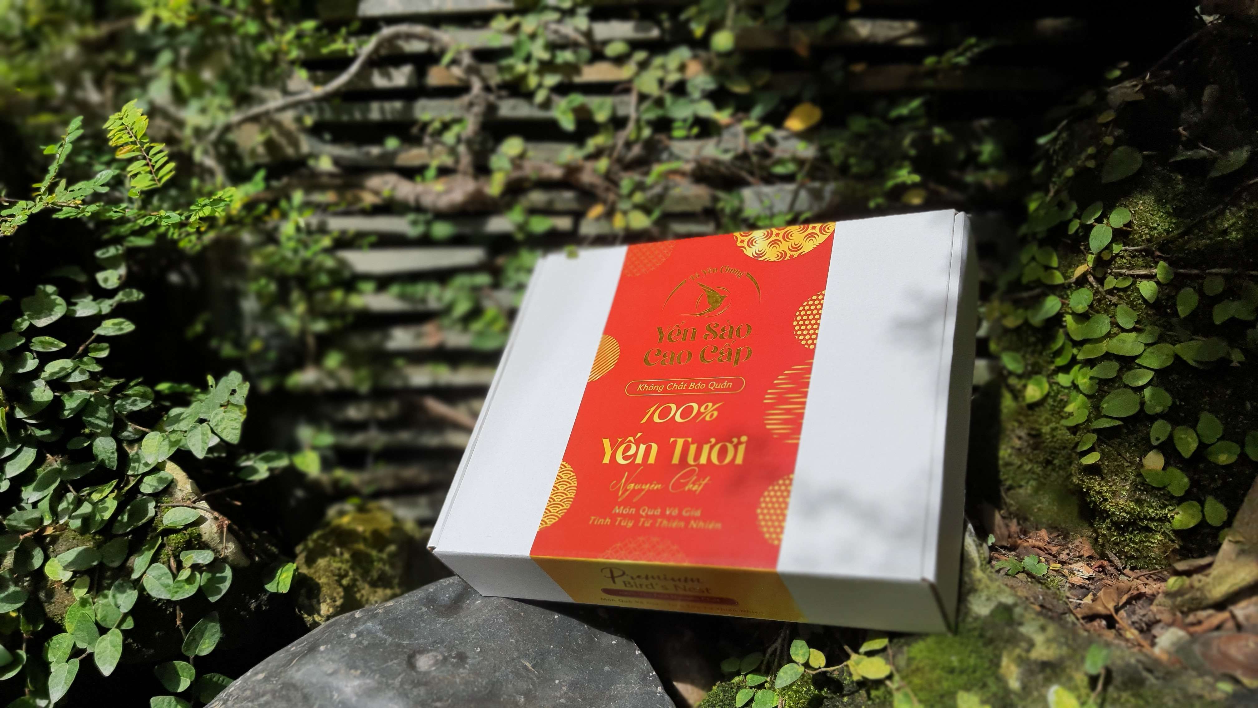 Hộp đựng 6 hủ yến chưng cao cấp