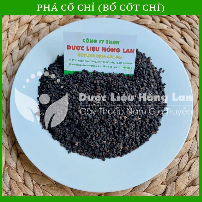 [Thượng hạng] 500G Phá Cố Chỉ (Bổ Cốt Chỉ) khô sạch loại 1