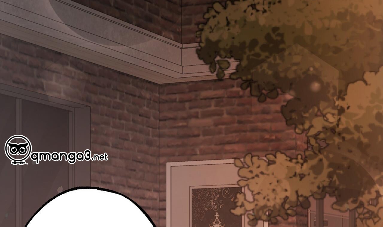 những chú thỏ của hapypy chapter 51 226