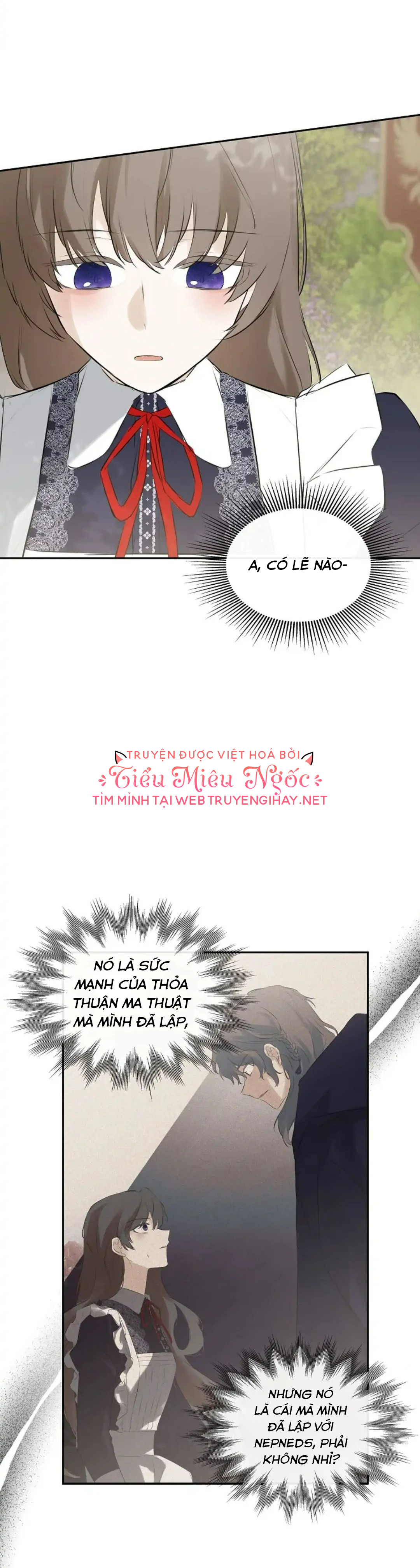 tôi biết bí mật của nam phụ chapter 21 3