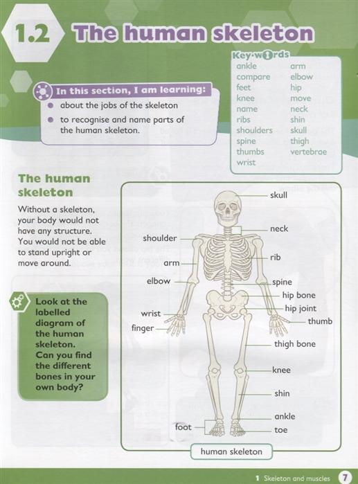 Sách ngoại văn: Max Science Primary Grade 4 Student's Book